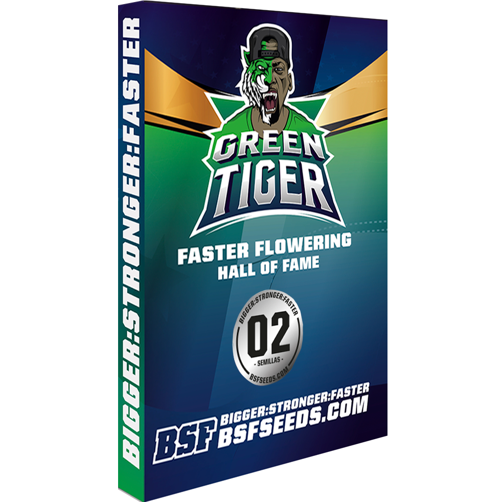 Green Tiger Fast Version Fem
