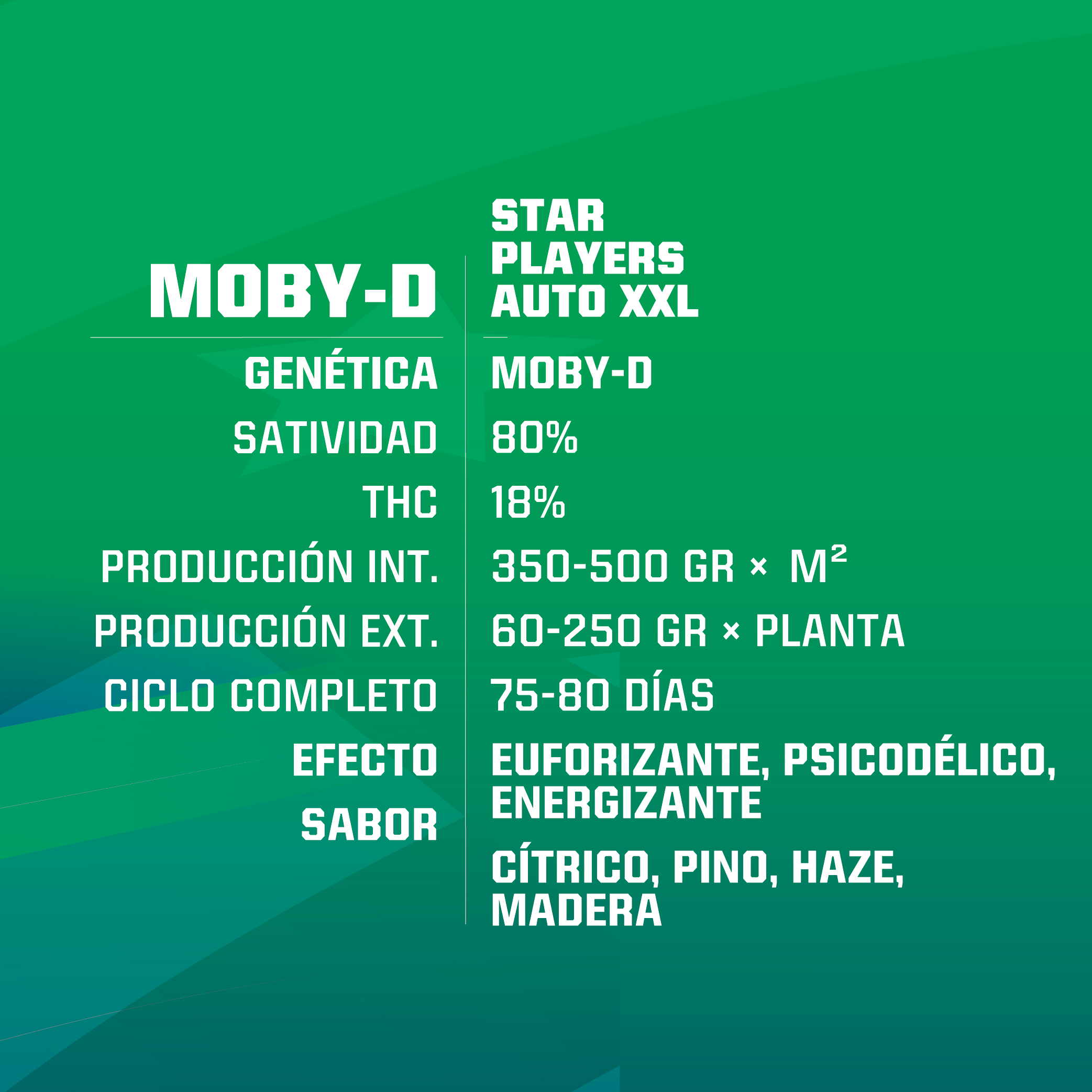 Moby-D XXL Auto