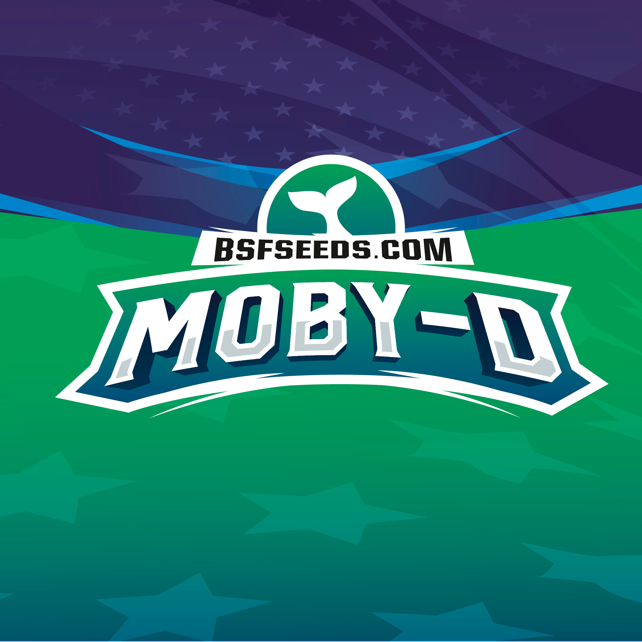 Moby-D XXL Auto