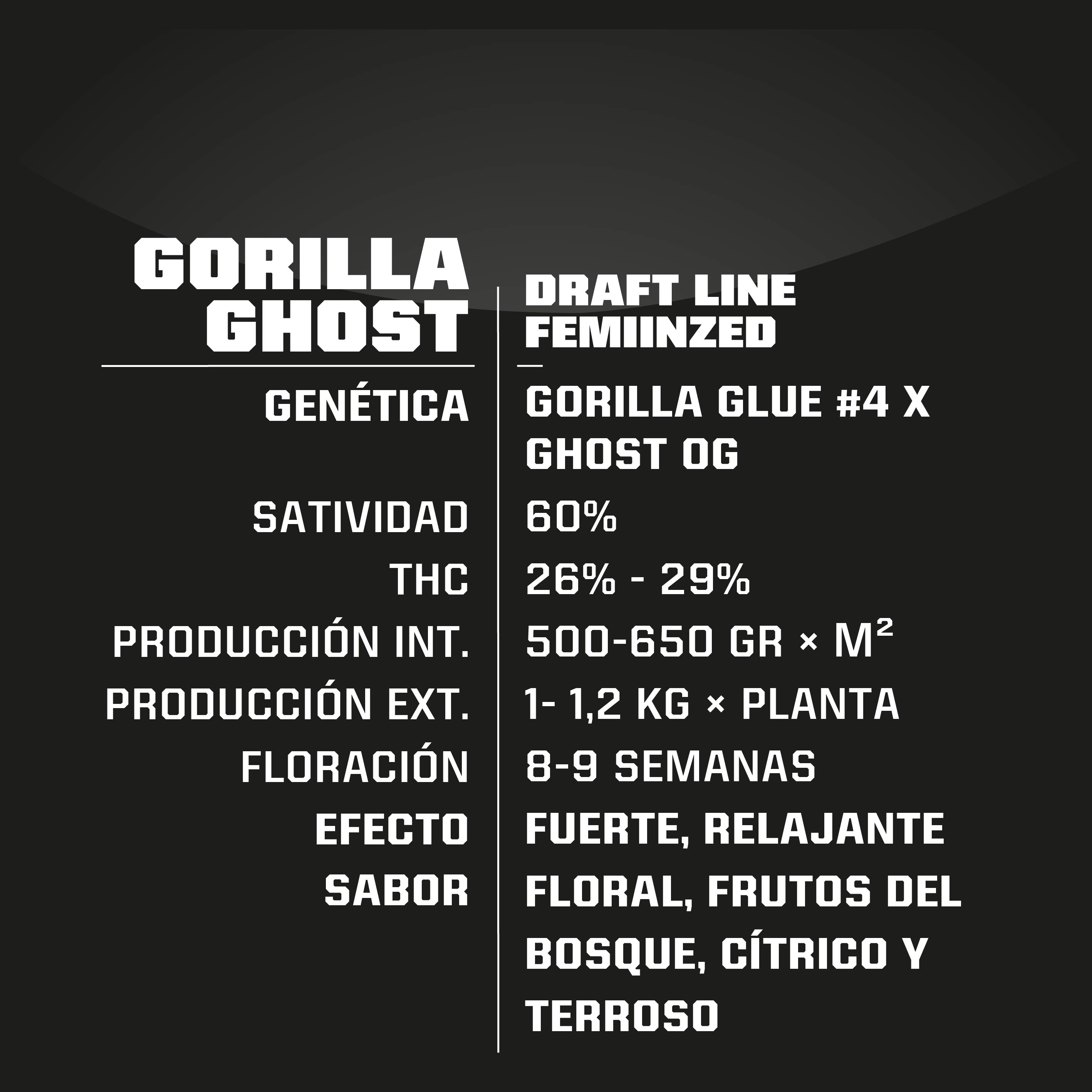 Gorilla Ghost