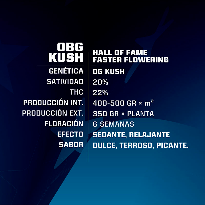 OBG Kush Fast Version