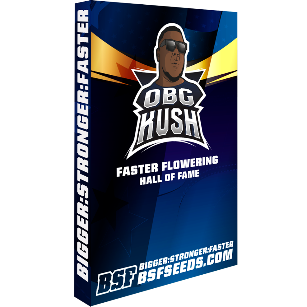 OBG Kush Fast Version