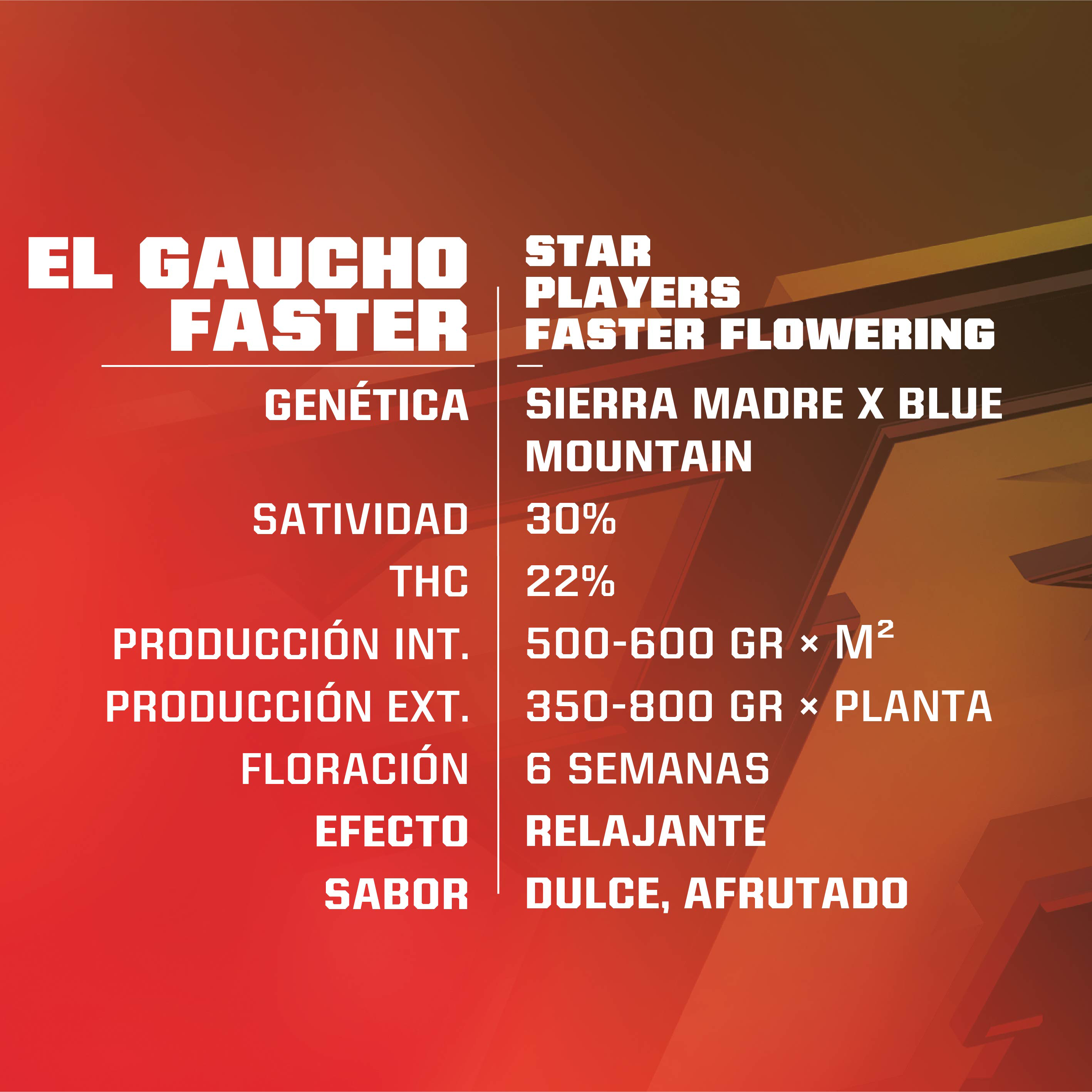 El Gaucho Faster Fem