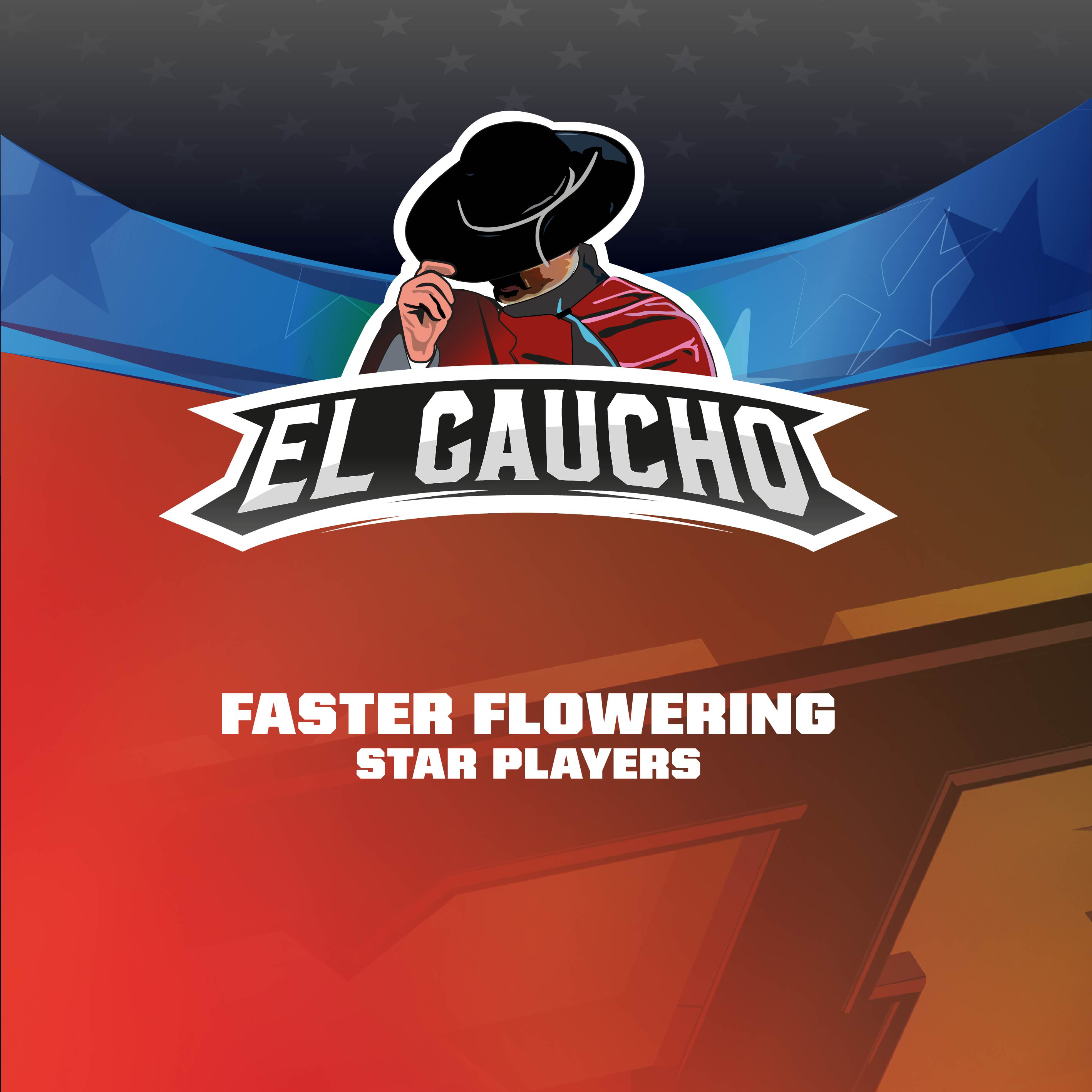 El Gaucho Faster Fem