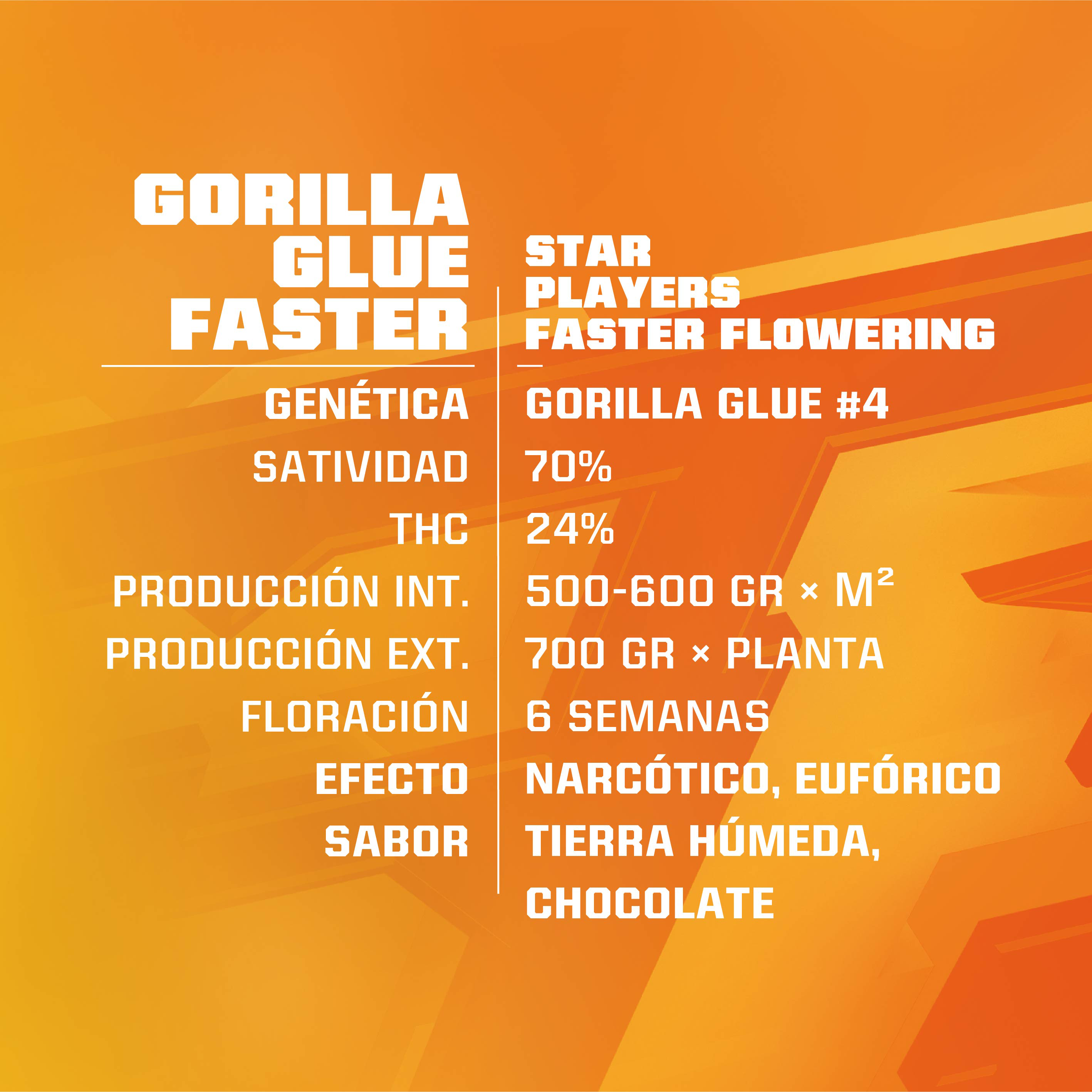 Gorilla Glue Faster Fem