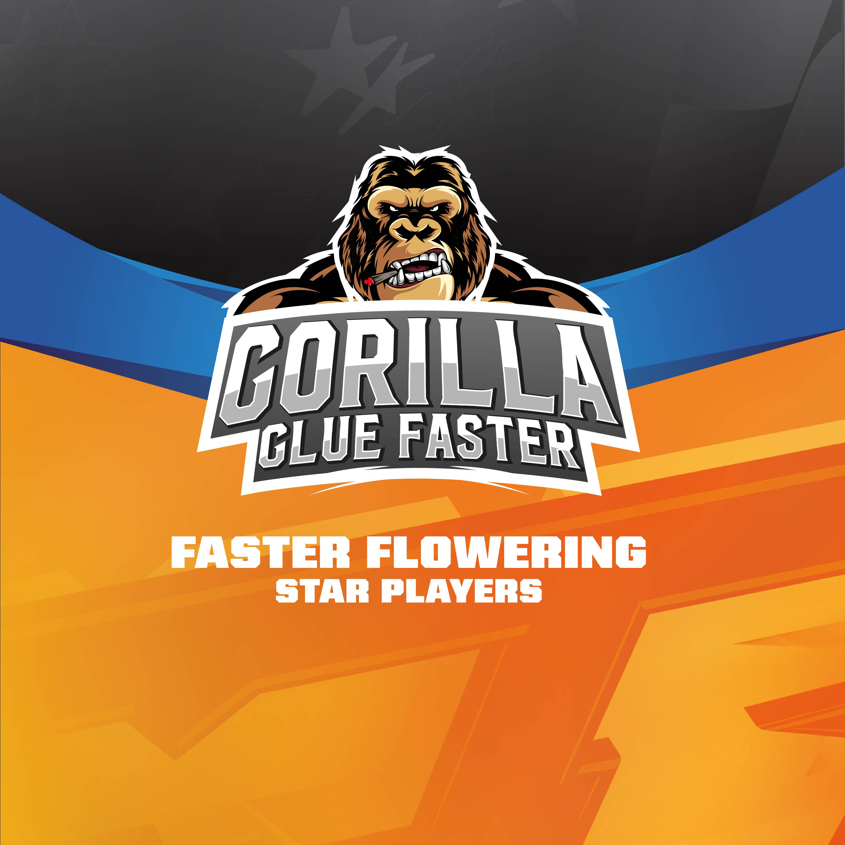 Gorilla Glue Faster Fem