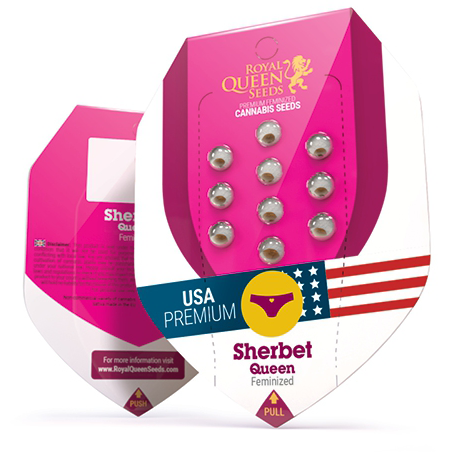 Sherbet Queen USA Premium Fem