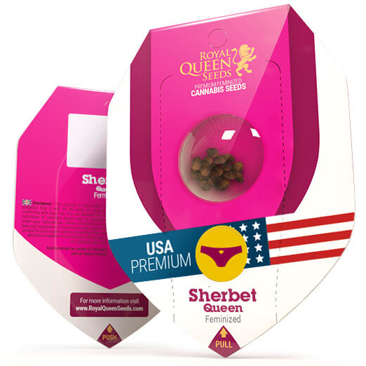 Sherbet Queen USA Premium Fem