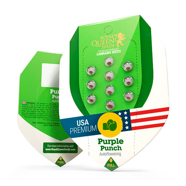 Purple Punch Auto USA Premium
