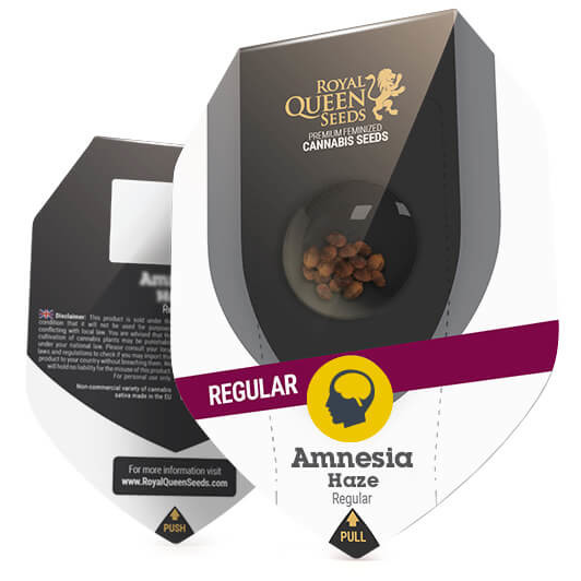 Amnesia Haze Reg