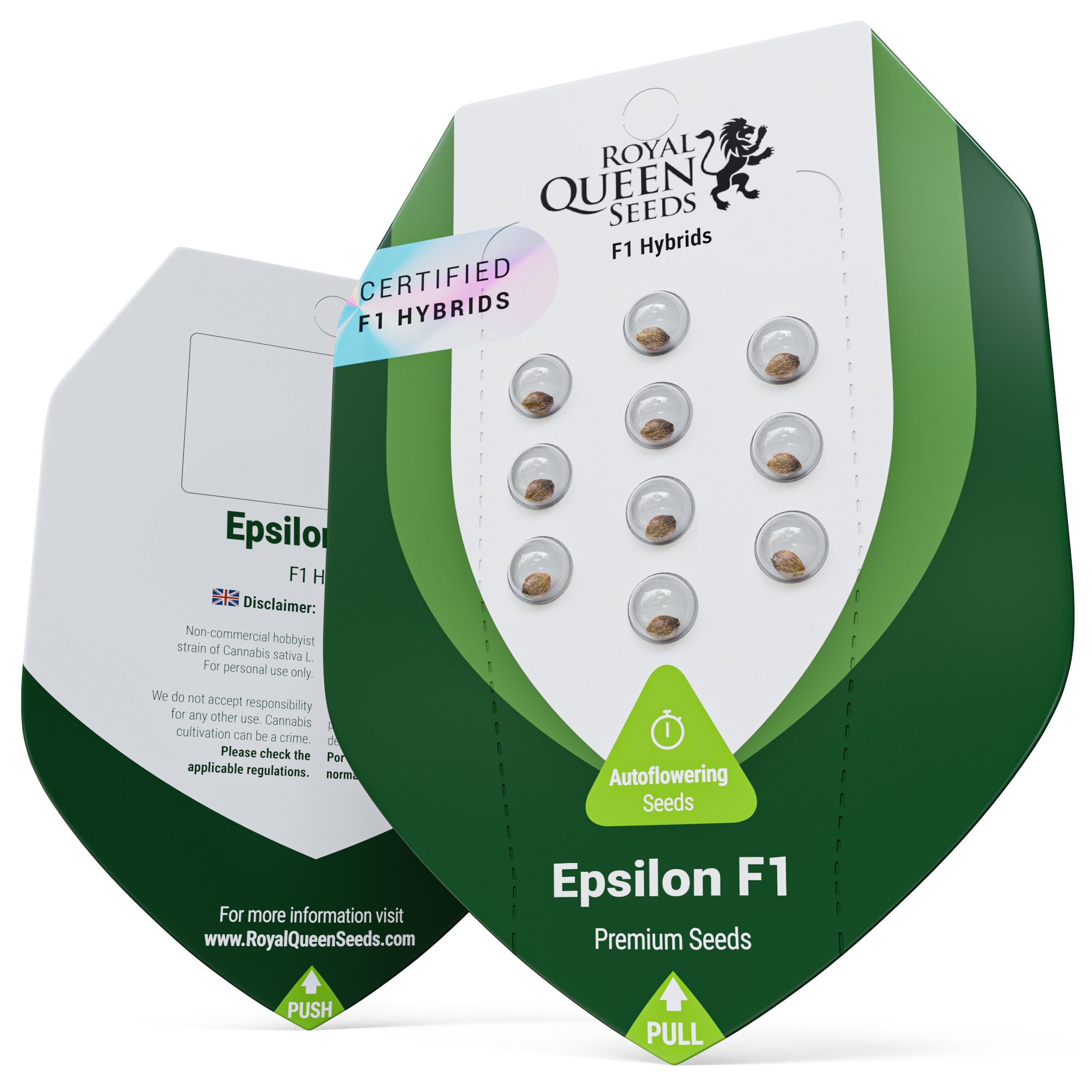 Epsilon F1 Auto