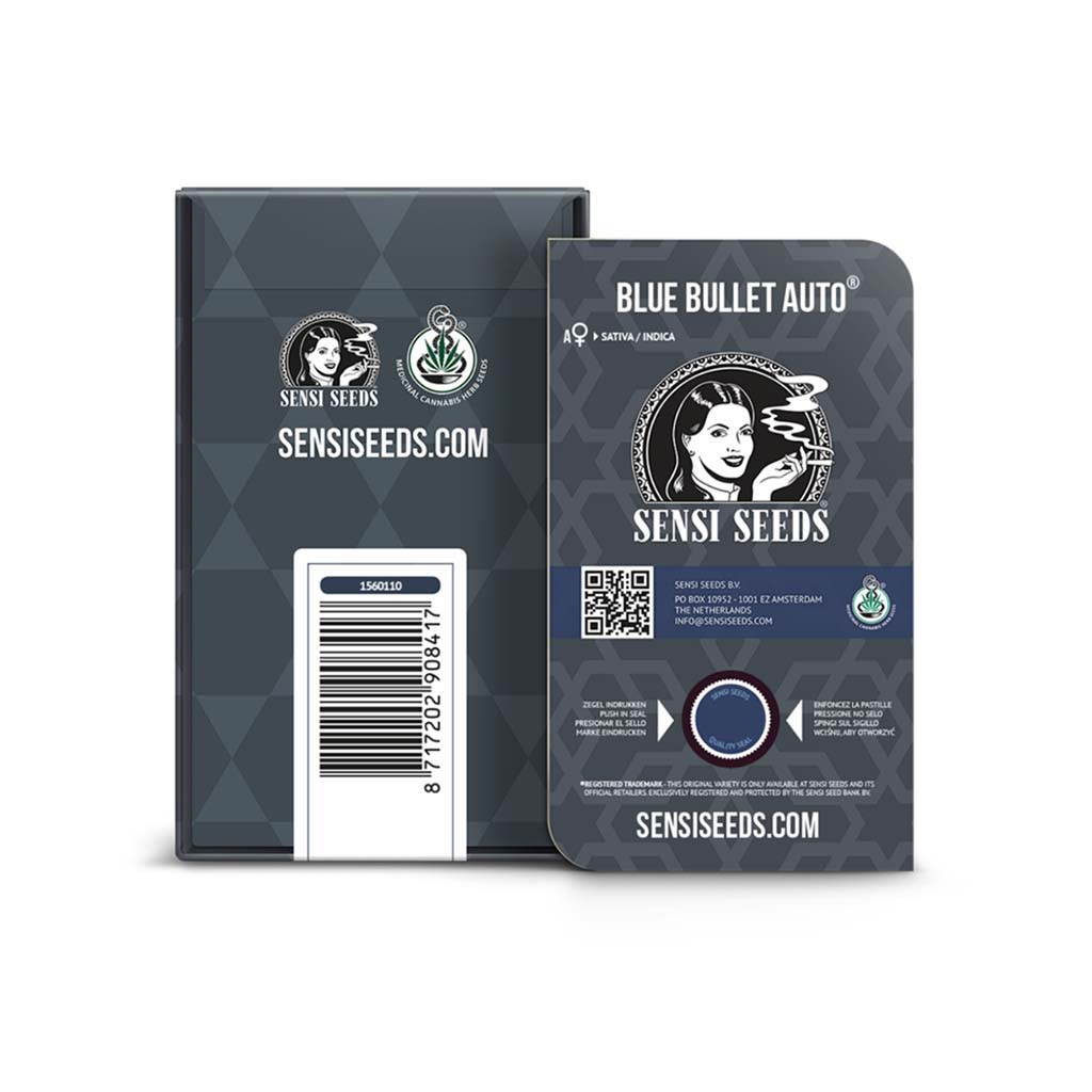 Blue Bullet Auto