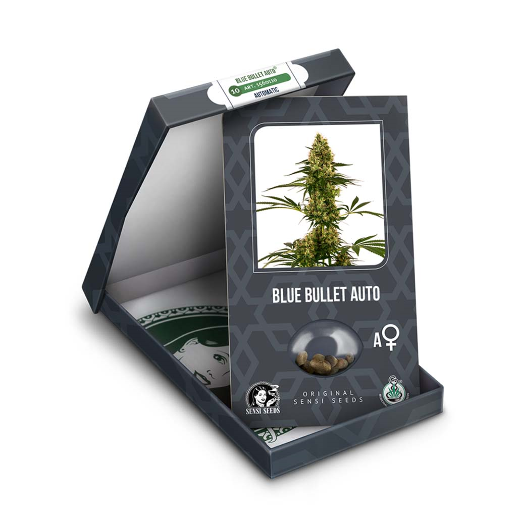Blue Bullet Auto