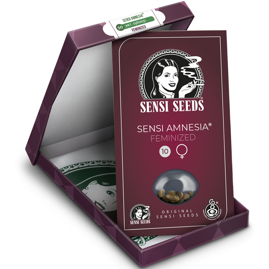 Sensi Amnesia Fem