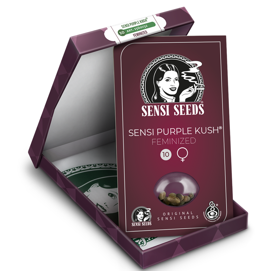 Sensi Purple Kush Fem