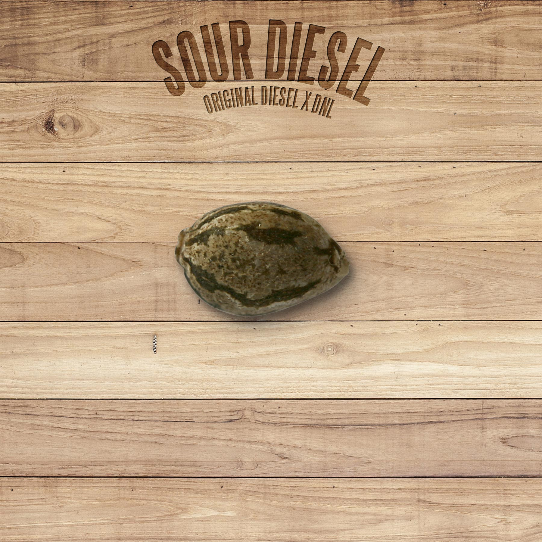 Sour Diesel