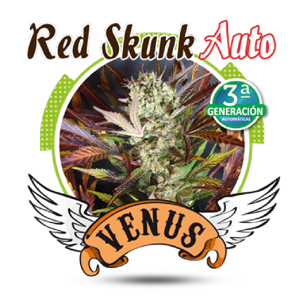Red Skunk Auto