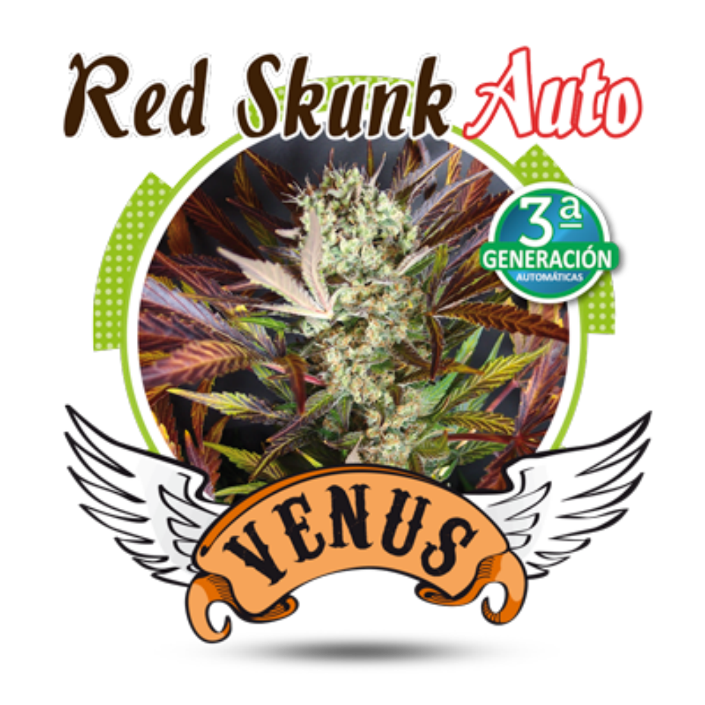 Red Skunk Auto