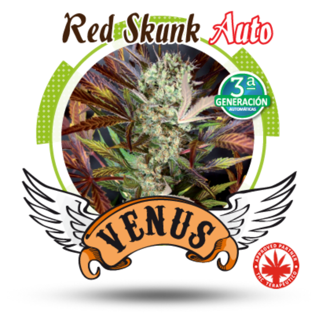 Red Skunk Auto
